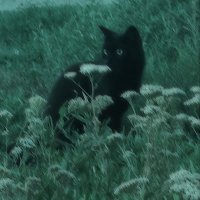 C // edtwt (@skxnny_bxtch) 's Twitter Profile