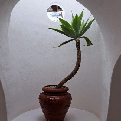 Colirrojo77's profile picture. 