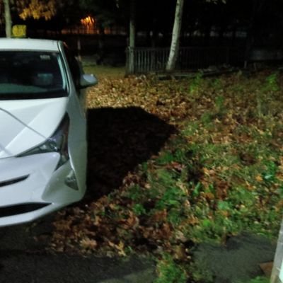 HydNHQOjGM33033's profile picture. 