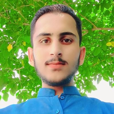 FaiqMansoo7328's profile picture. Software engineer