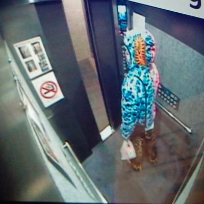 PierrickDml's profile picture. only luv