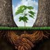 GranBitasyon🐍🌳 (@granbitasyon) Twitter profile photo GranBitasyon🐍🌳 (@granbitasyon) Twitter profile photo