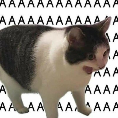 lisimi02's profile picture. 