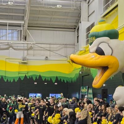 KenessoRiserios's profile picture. 