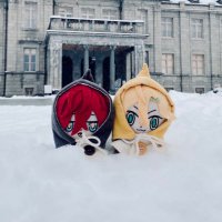雪 (@satr2325) 's Twitter Profile Photo