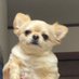 てん(5) (@731ten) Twitter profile photo てん(5) (@731ten) Twitter profile photo