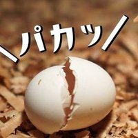 ありな✌️🐥✌️ (@arina_taru) Twitter profile photo