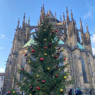 MarkNThomas's profile picture. 