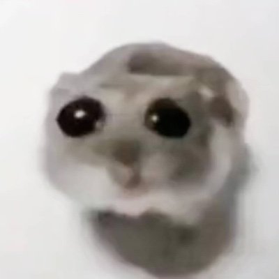 LfgHamster's profile picture. 