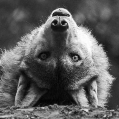 FIFAWY9991's profile picture. EASY COME EASY GO