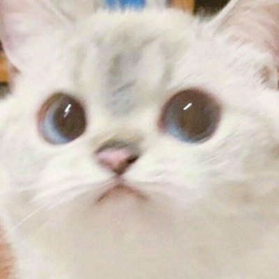 catismyreligi0n's profile picture. 199x