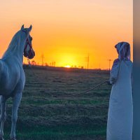 استودعكم الله ، تم حذف التطبيق لله (@almalkimamduh) 's Twitter Profile