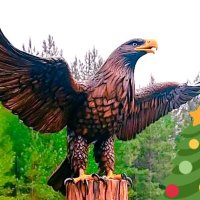 Fortunat kandanda (@fortunatkandan2) 's Twitter Profile