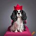 Dowager Barkalot Tofu Chunks (@mutteroo) Twitter profile photo Dowager Barkalot Tofu Chunks (@mutteroo) Twitter profile photo
