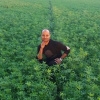Attia Jibril (@ateagebrel70066) 's Twitter Profile