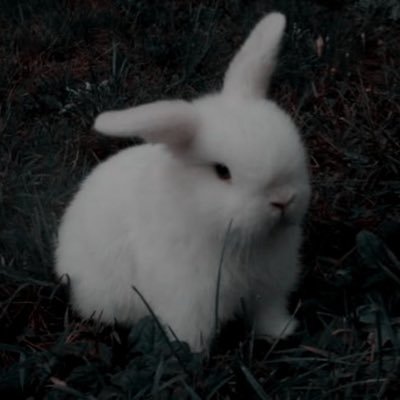 LnX0f's profile picture. 