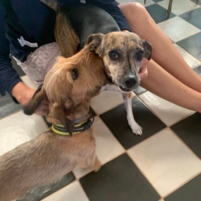 Daniela76169706's profile picture. 