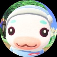 0時就寝 (@dolphin_dbt) 's Twitter Profile