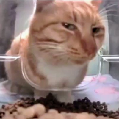 omair_irfan76's profile picture. 