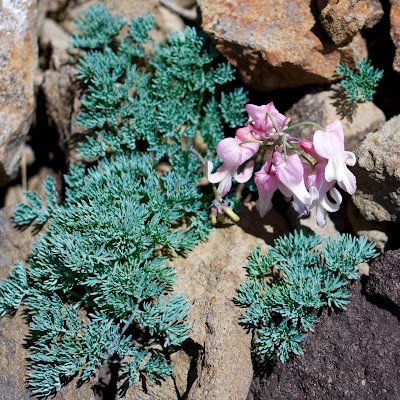 Djohn654637's profile picture. 