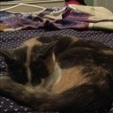 Candi Harper - @candiapple79 - Twitter