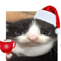 Kj (@cheetosjumbo07) 's Twitter Profile
