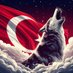 🦅🇹🇷🇹🇷Selim🇹🇷🇹🇷🦅 (@tommyking1972) Twitter profile photo 🦅🇹🇷🇹🇷Selim🇹🇷🇹🇷🦅 (@tommyking1972) Twitter profile photo