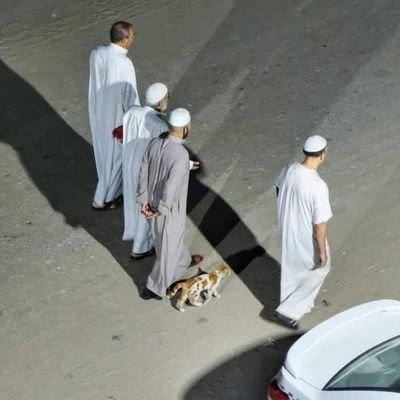 الشِّعـرُ أنا، النصّ صدِيقي وصديقتي القـصيدة🖤🖤🌺