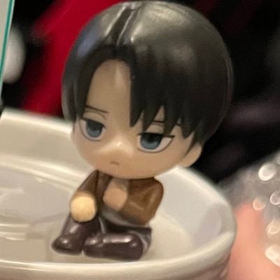 義務教育終了済み/15↑18↓/喫煙者不在/ペットいますが手の届かないところで保管しております/取引経験まだまだ少ないですが気持ちのいいお取引を心がけております。よろしくお願いします☘️*゜