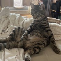 Robin (@robin_brlt) 's Twitter Profile