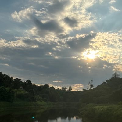 mmankorat's profile picture. 