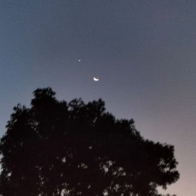 EdogawaNanashii's profile picture. 