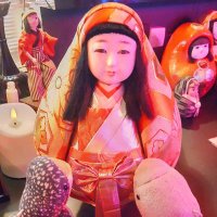 ひせにゃんこ🐈⬛ (@deroderohise) 's Twitter Profile