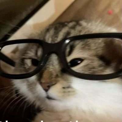 StareAtCode247's profile picture. On an eternal quest for NEETvana.