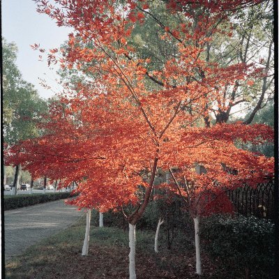 HoThanh727140's profile picture. 
