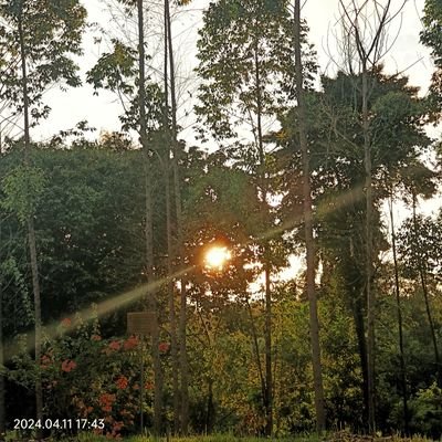 partikelkentang's profile picture. 