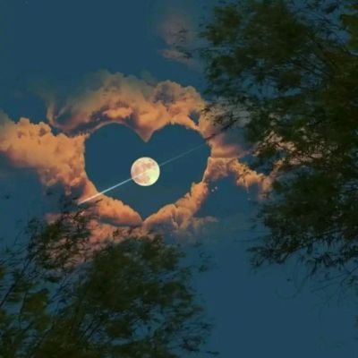 ramos_newton's profile picture. I needed help. I am a truck driver