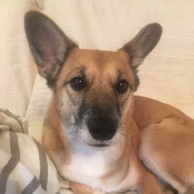 K3ke47Lp's profile picture. 