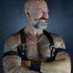 FURRY MUSCLEBULL 💪🏼 (@maplemusclebull) Twitter profile photo FURRY MUSCLEBULL 💪🏼 (@maplemusclebull) Twitter profile photo