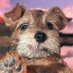 ARMIN (@airmin_agent) Twitter profile photo ARMIN (@airmin_agent) Twitter profile photo