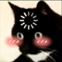 airooo (@airooo100) 's Twitter Profile