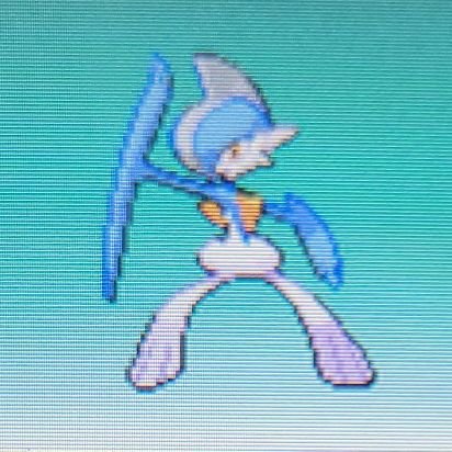 xrisir's profile picture. all I do is win win win starts playing as you hit the follow button