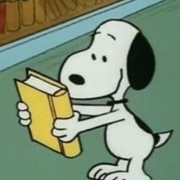 studybelle_'s profile picture. caos e rotina de estudos || futura bióloga! 👩‍🔬