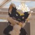 泠月→圣兽迹 (@lngyu643637051) Twitter profile photo 泠月→圣兽迹 (@lngyu643637051) Twitter profile photo