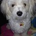 Arianna E. Muniz (@mallcrazy1437) Twitter profile photo Arianna E. Muniz (@mallcrazy1437) Twitter profile photo