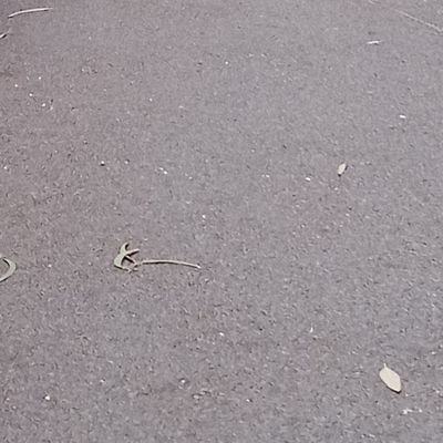 rjphotography06's profile picture. 