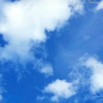 わんさんのプロフィール画像