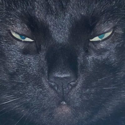 Ang3rMgmt's profile picture. l’appel du vide