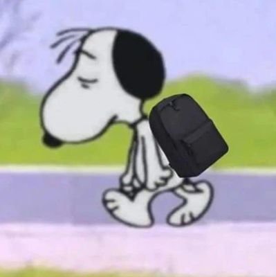 nahuelreines_'s profile picture. Elegante pero callejero.