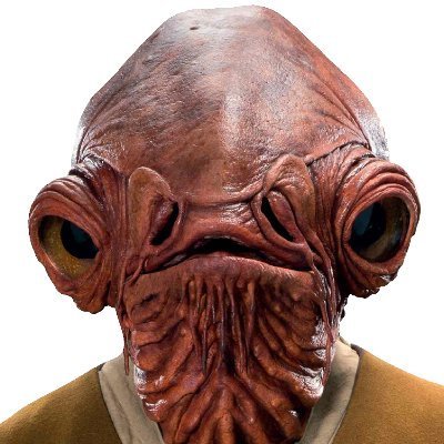 PhuongT69549's profile picture. 